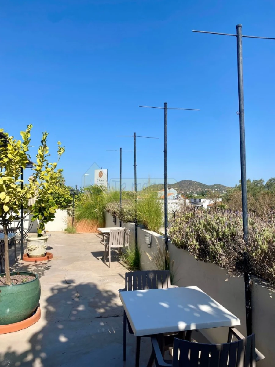 Negócio para Venda em Almancil Foto 5