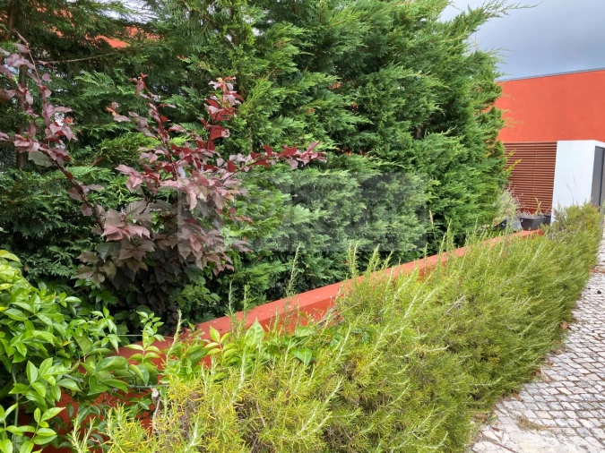 Moradia T2 para Venda em Vau Foto 22