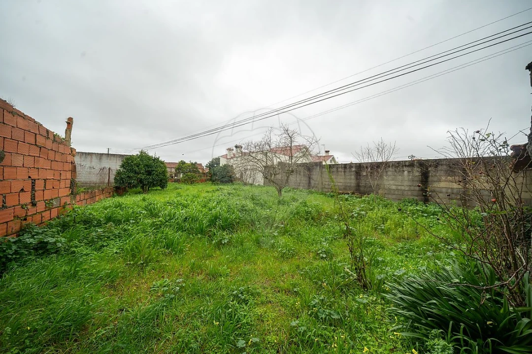 Moradia T2 para Venda em Covões e Camarneira Foto 3