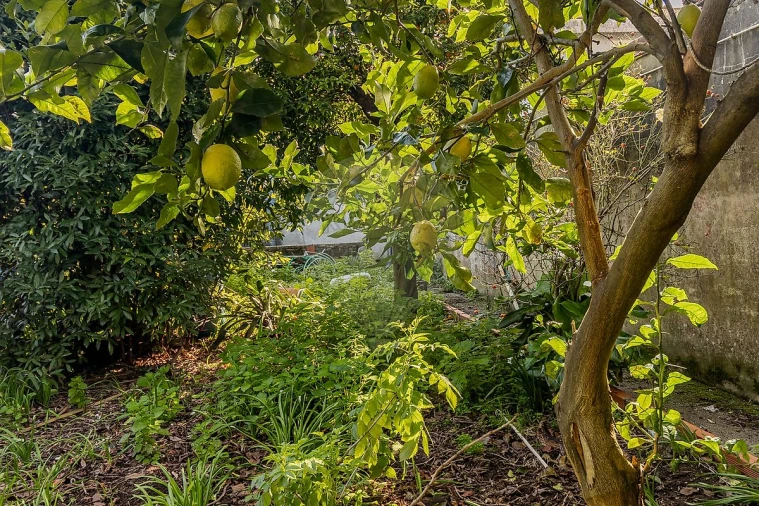 Moradia T3 para Venda em Perafita, Lavra e Santa Cruz do Bispo Foto 34