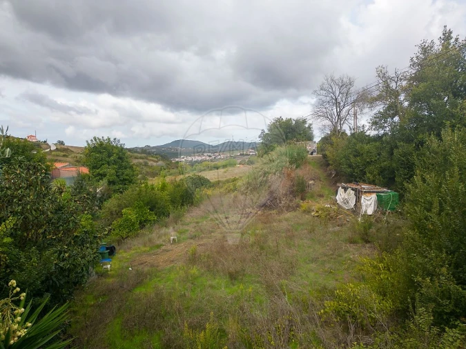 Terreno para Venda em Santo Quintino Foto 7