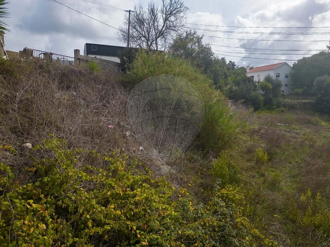 Terreno para Venda em Santo Quintino Foto 8