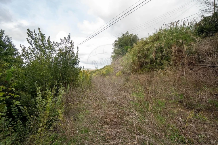 Terreno para Venda em Santo Quintino Foto 10