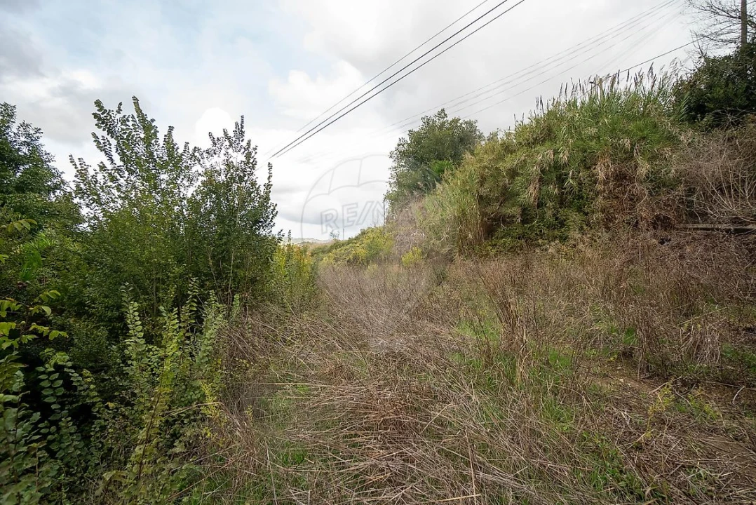 Terreno para Venda em Santo Quintino Foto 10