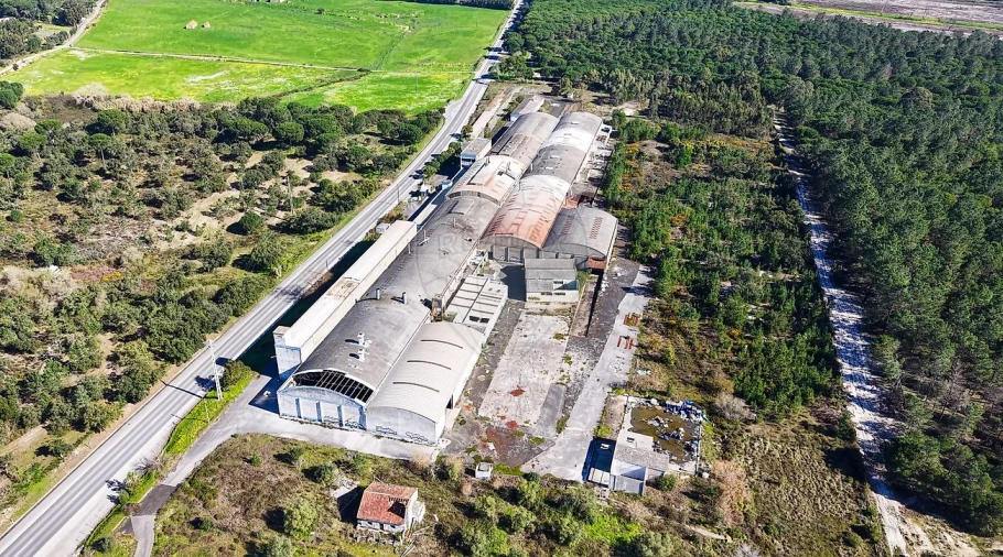 Armazém para Venda em Aveiras de Baixo Foto 28