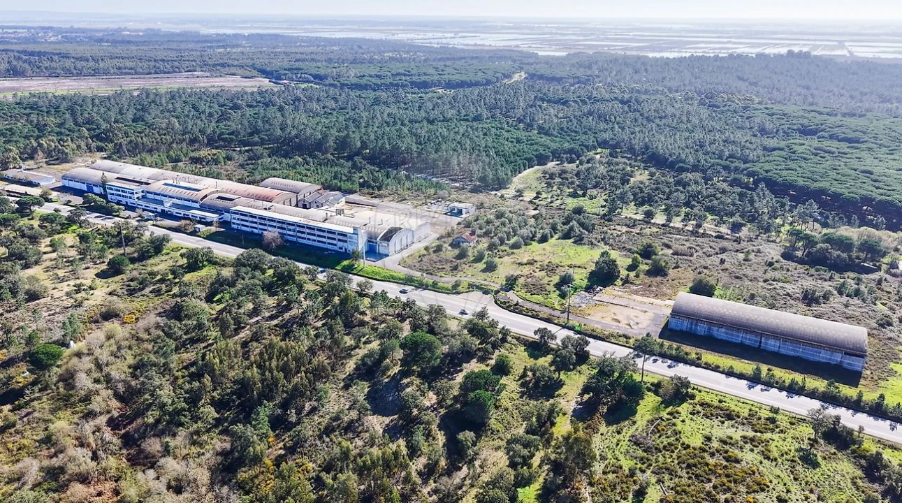 Armazém para Venda em Aveiras de Baixo Foto 19