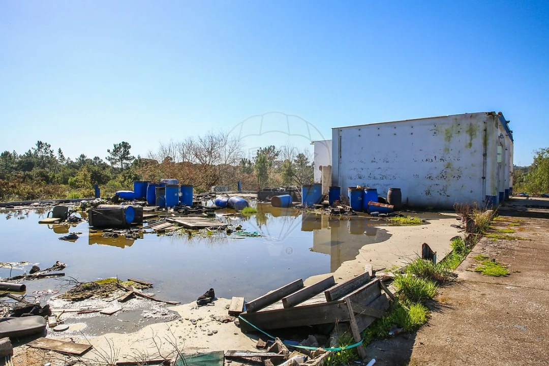 Armazém para Venda em Aveiras de Baixo Foto 8