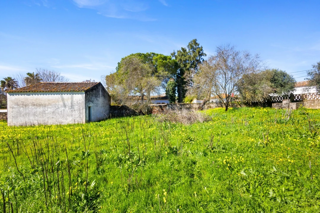 Moradia T6 para Venda em Vila Verde de Ficalho Foto 23