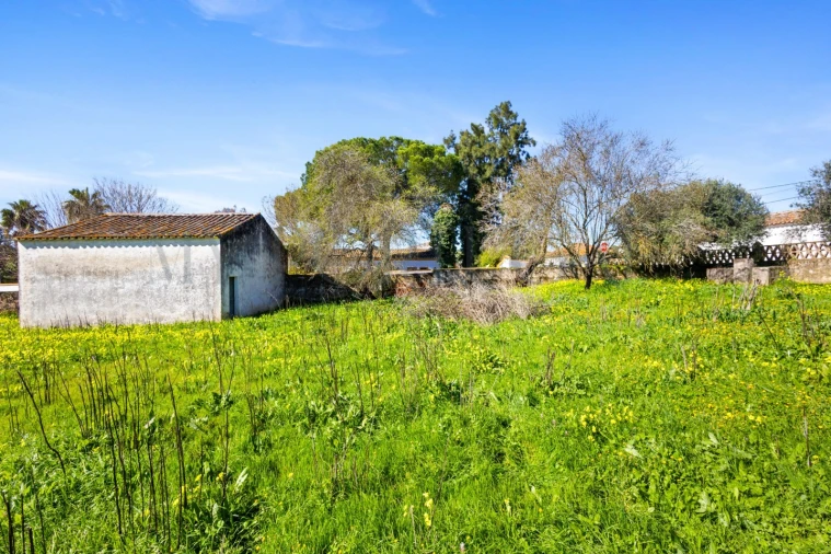 Moradia T6 para Venda em Vila Verde de Ficalho Foto 23