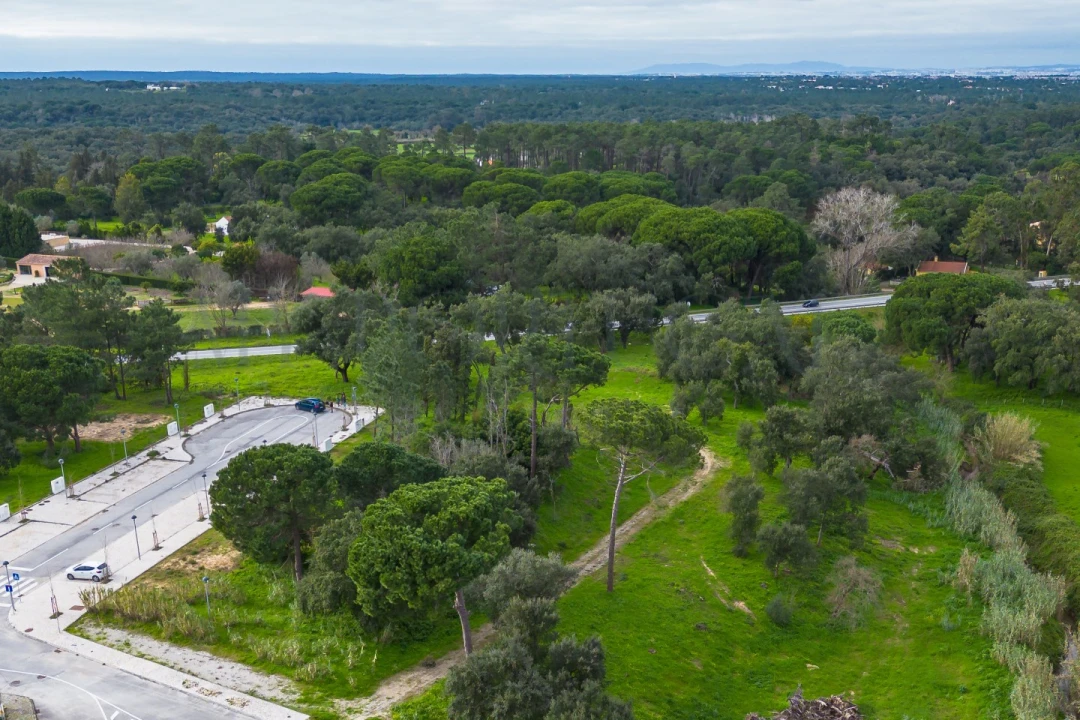 Terreno para Venda em Azeitão (São Lourenço e São Simão) Foto 1