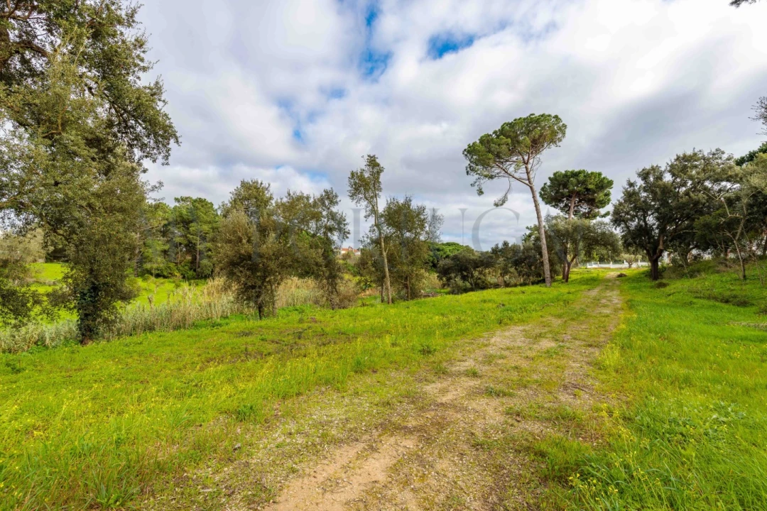 Terreno para Venda em Azeitão (São Lourenço e São Simão) Foto 21