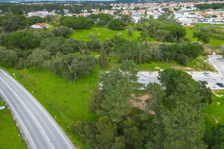Terreno para Venda em Azeitão (São Lourenço e São Simão) Foto 3