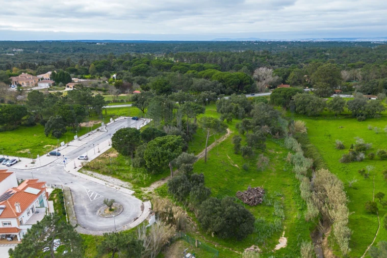 Terreno para Venda em Azeitão (São Lourenço e São Simão) Foto 4