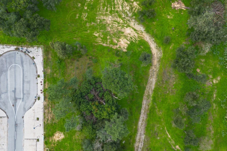 Terreno para Venda em Azeitão (São Lourenço e São Simão) Foto 2