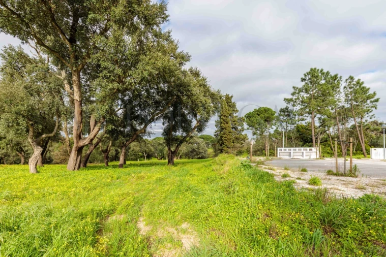 Terreno para Venda em Azeitão (São Lourenço e São Simão) Foto 16