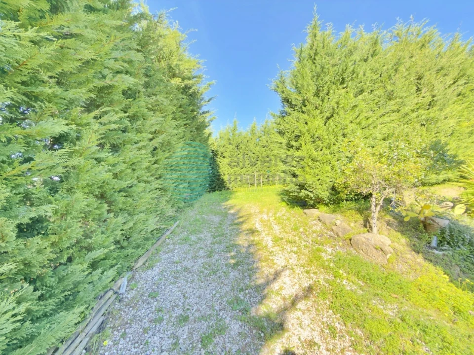 Moradia T4 para Venda em Carvoeira e Carmões Foto 69