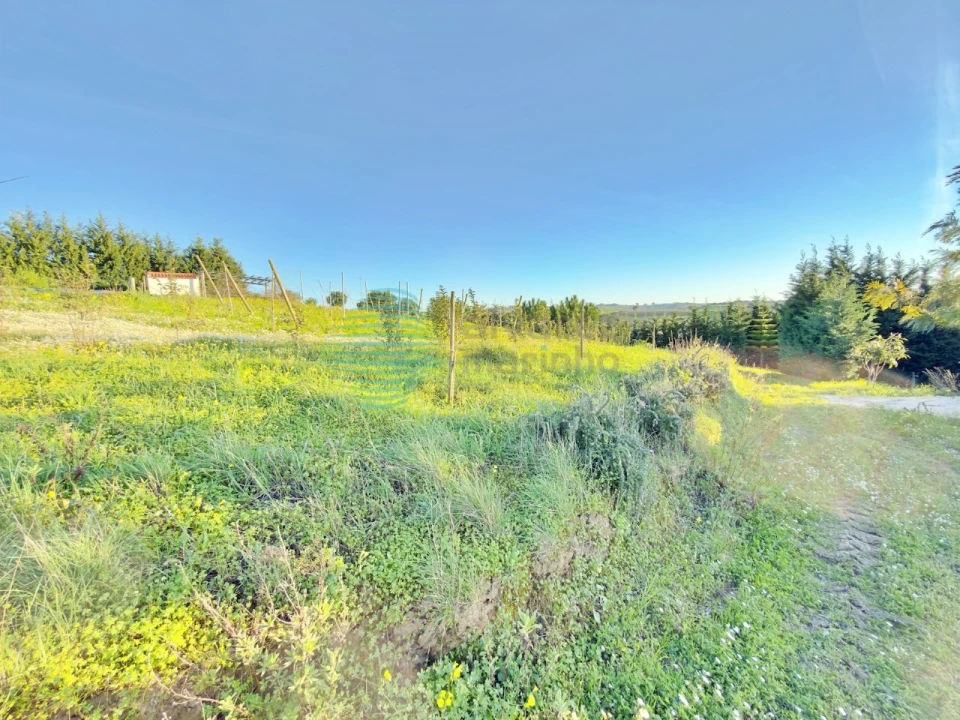 Moradia T4 para Venda em Carvoeira e Carmões Foto 75