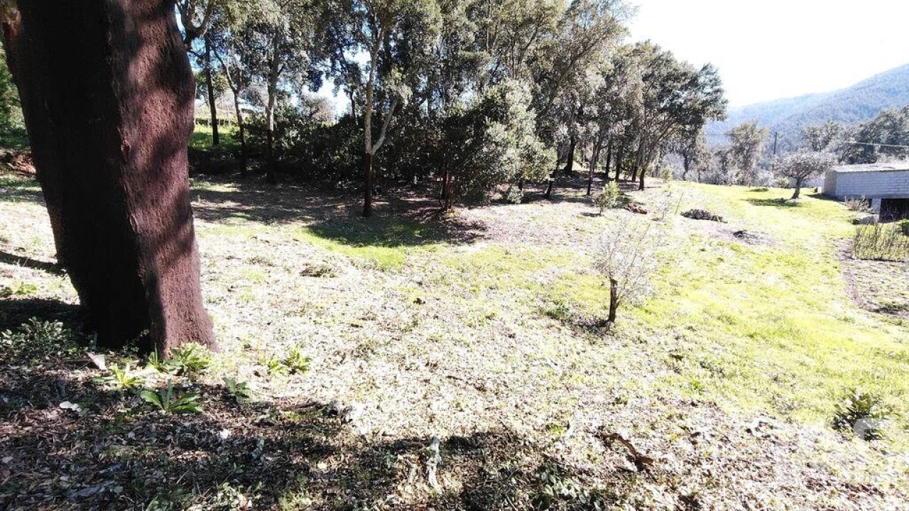Terreno para Venda em Pedrogão Pequeno Foto 5