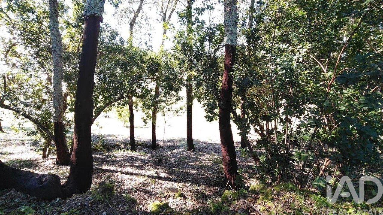Terreno para Venda em Pedrogão Pequeno Foto 31