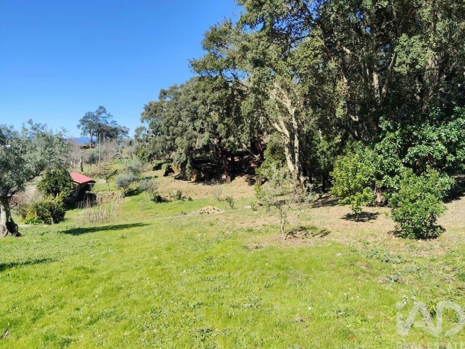 Terreno para Venda em Pedrogão Pequeno Foto 1