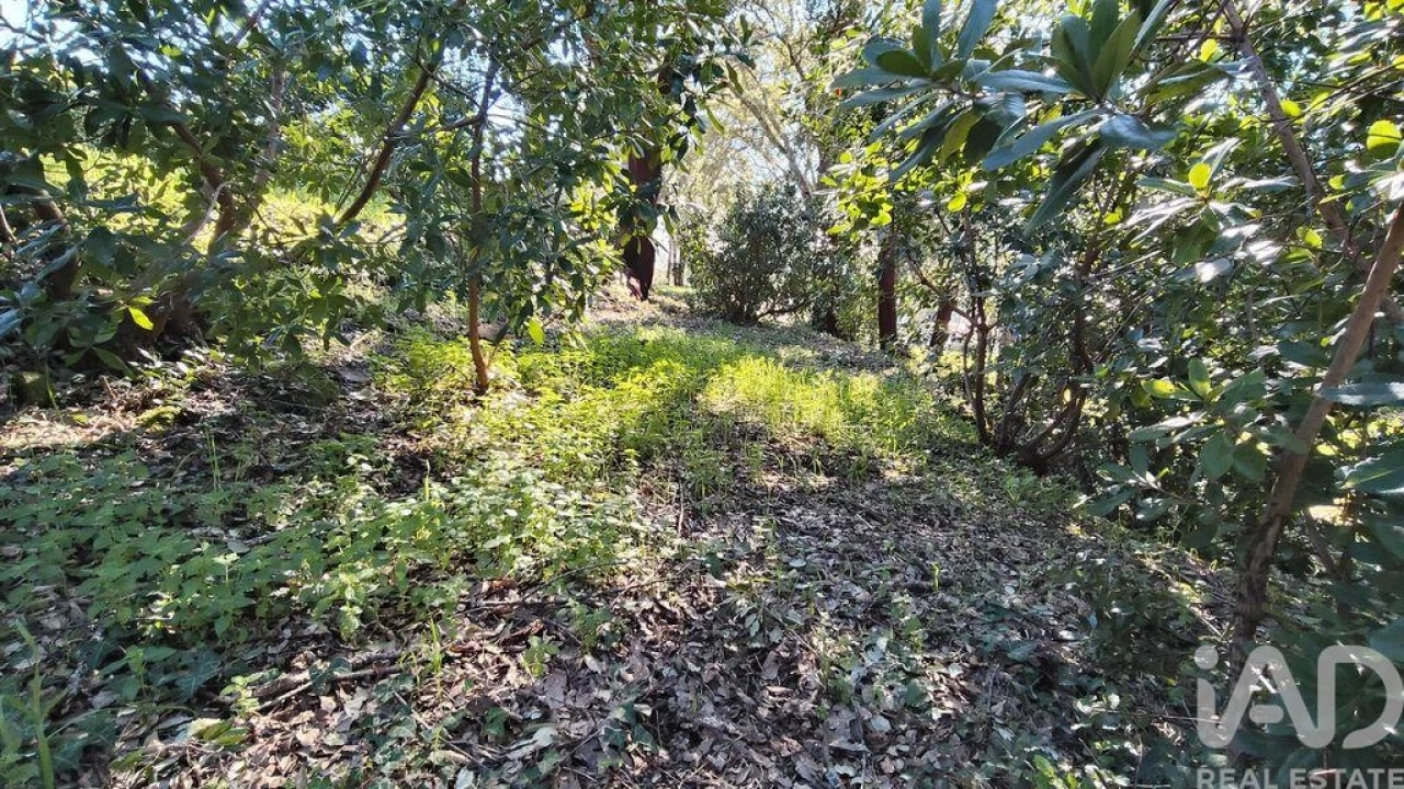 Terreno para Venda em Pedrogão Pequeno Foto 18