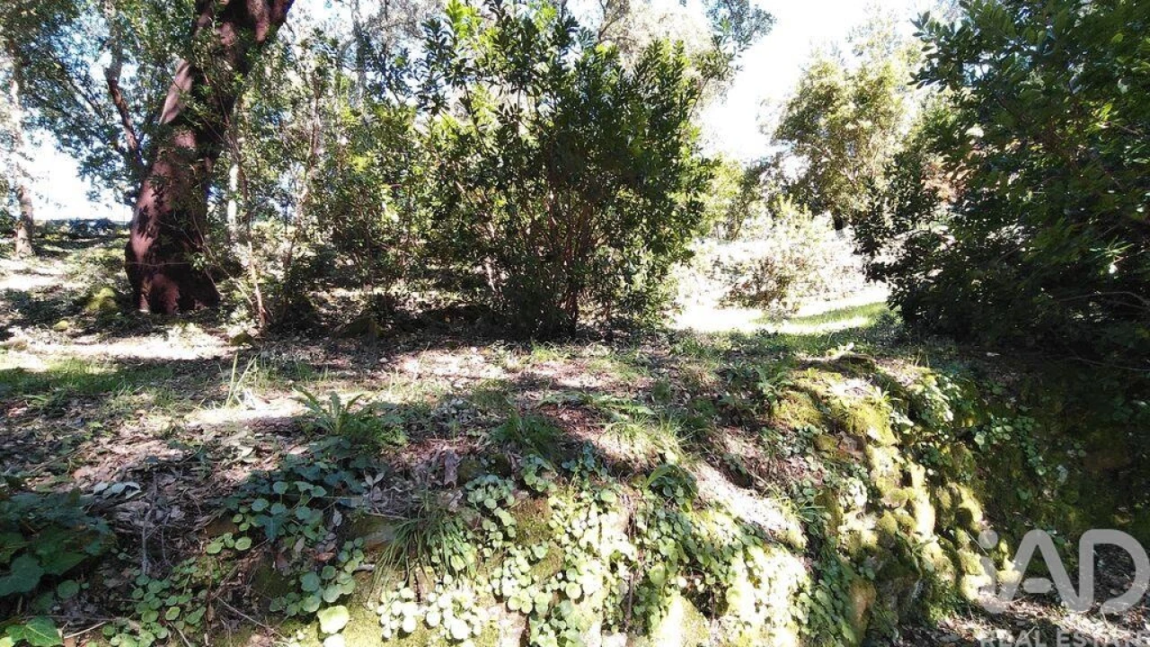 Terreno para Venda em Pedrogão Pequeno Foto 20