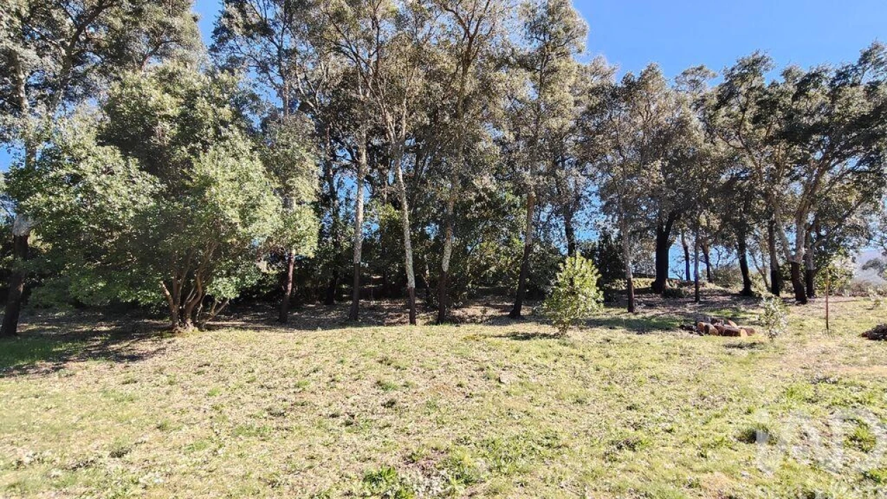 Terreno para Venda em Pedrogão Pequeno Foto 23