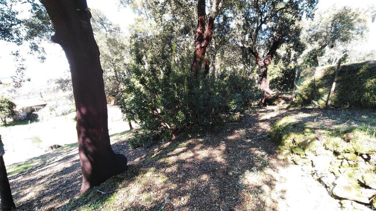 Terreno para Venda em Pedrogão Pequeno Foto 12