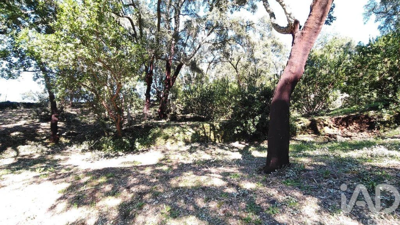 Terreno para Venda em Pedrogão Pequeno Foto 26
