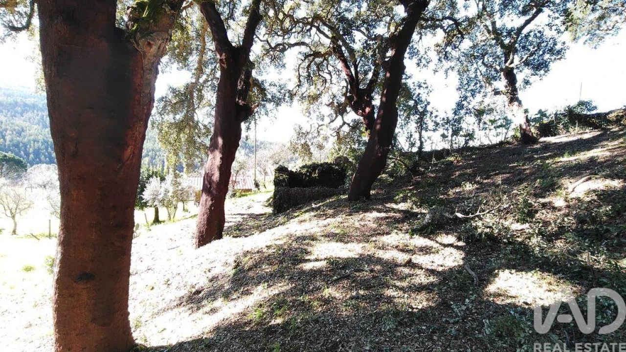 Terreno para Venda em Pedrogão Pequeno Foto 22