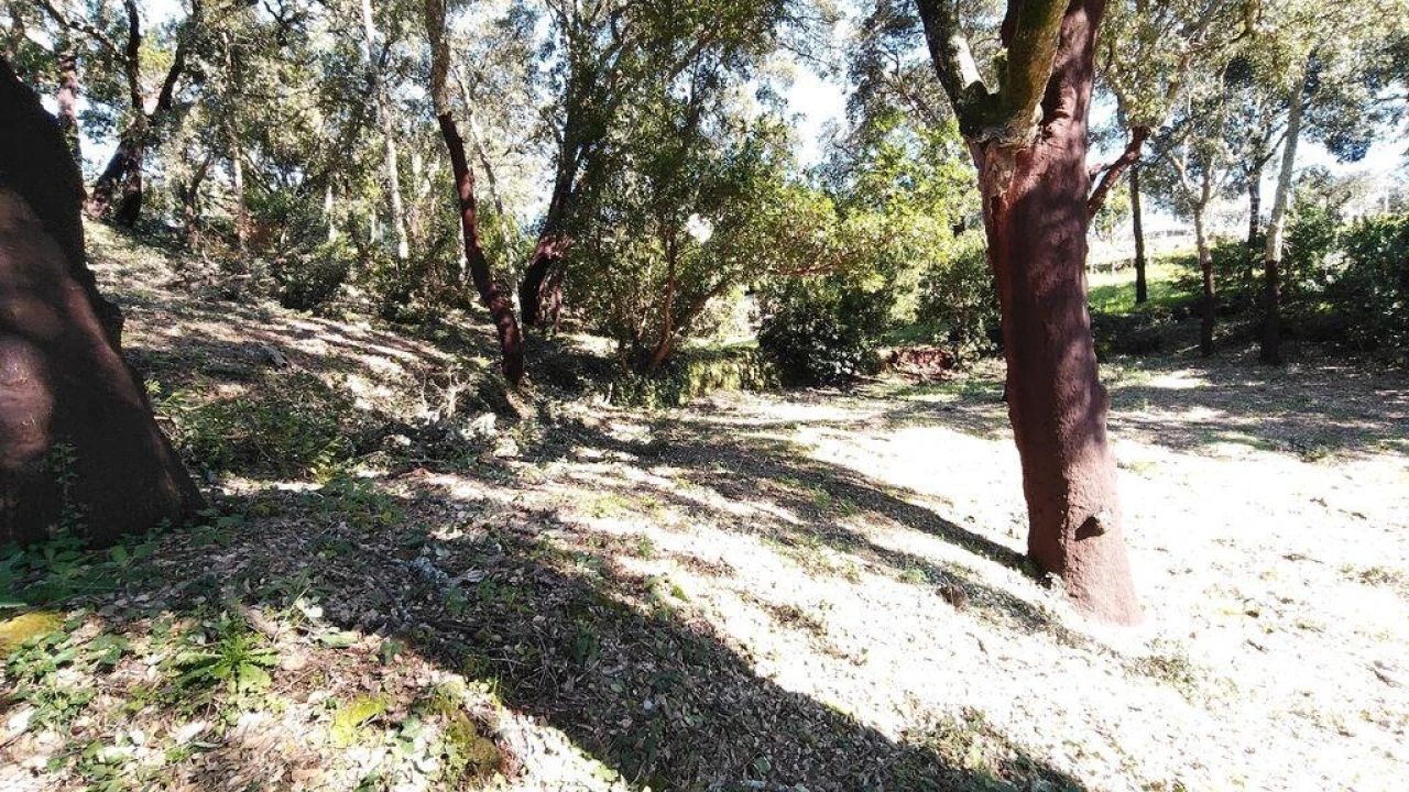 Terreno para Venda em Pedrogão Pequeno Foto 10
