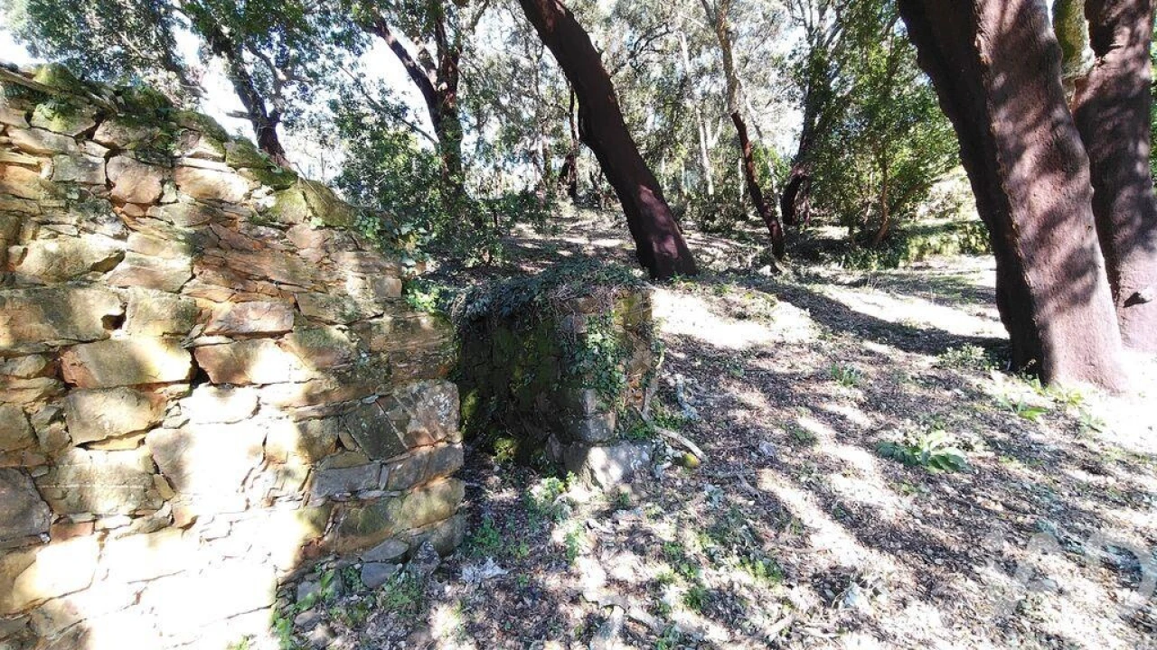 Terreno para Venda em Pedrogão Pequeno Foto 7