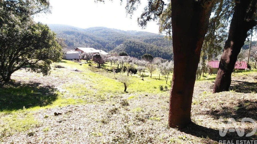 Terreno para Venda em Pedrogão Pequeno Foto 21