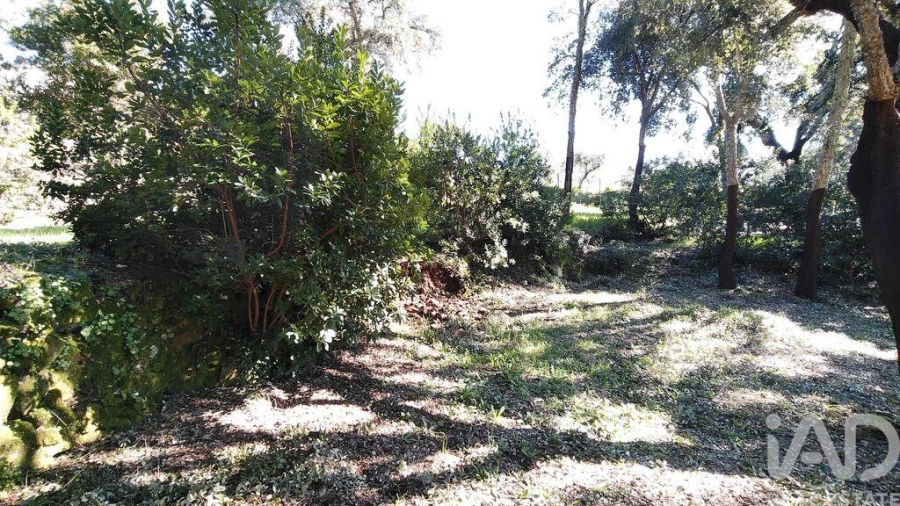 Terreno para Venda em Pedrogão Pequeno Foto 28