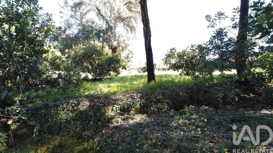 Terreno para Venda em Pedrogão Pequeno Foto 19
