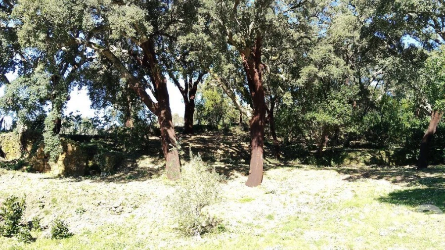 Terreno para Venda em Pedrogão Pequeno Foto 25