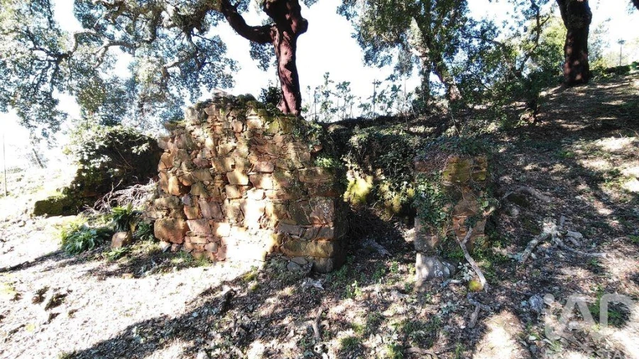 Terreno para Venda em Pedrogão Pequeno Foto 2