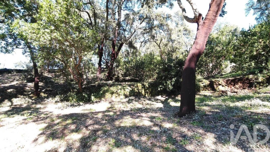 Terreno para Venda em Pedrogão Pequeno Foto 26