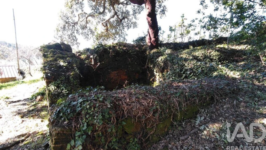 Terreno para Venda em Pedrogão Pequeno Foto 8