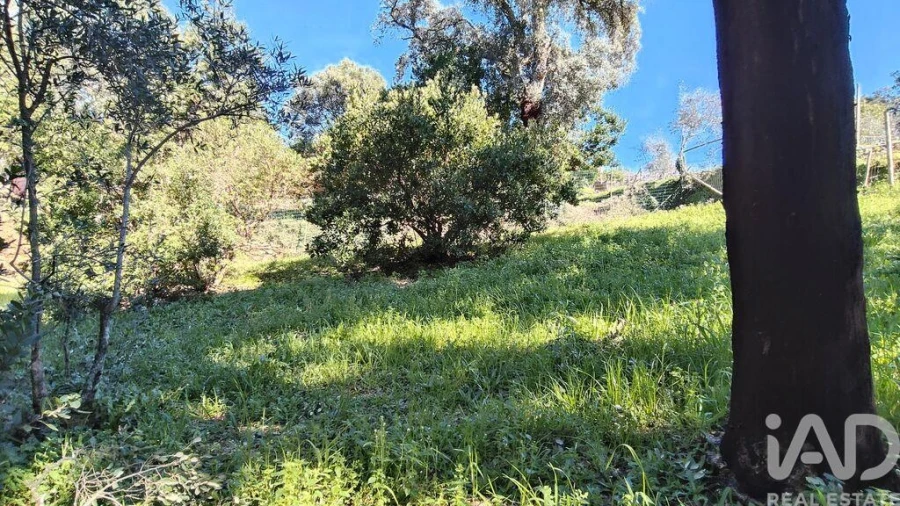 Terreno para Venda em Pedrogão Pequeno Foto 17