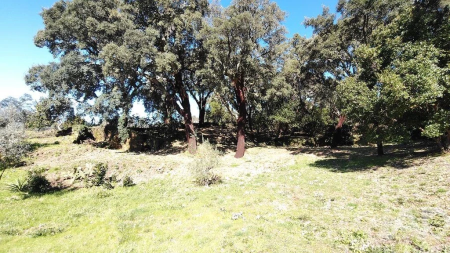 Terreno para Venda em Pedrogão Pequeno Foto 24