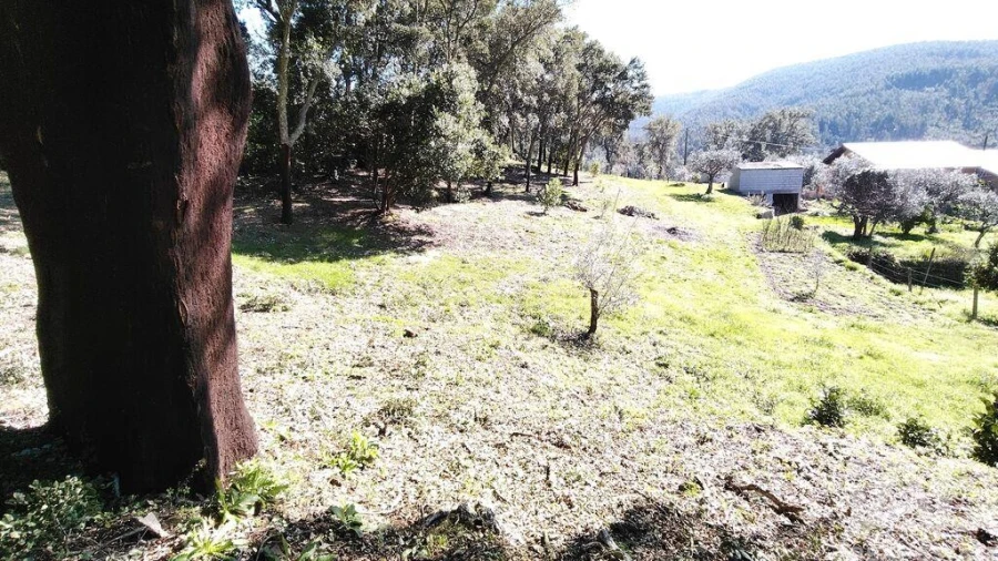 Terreno para Venda em Pedrogão Pequeno Foto 6