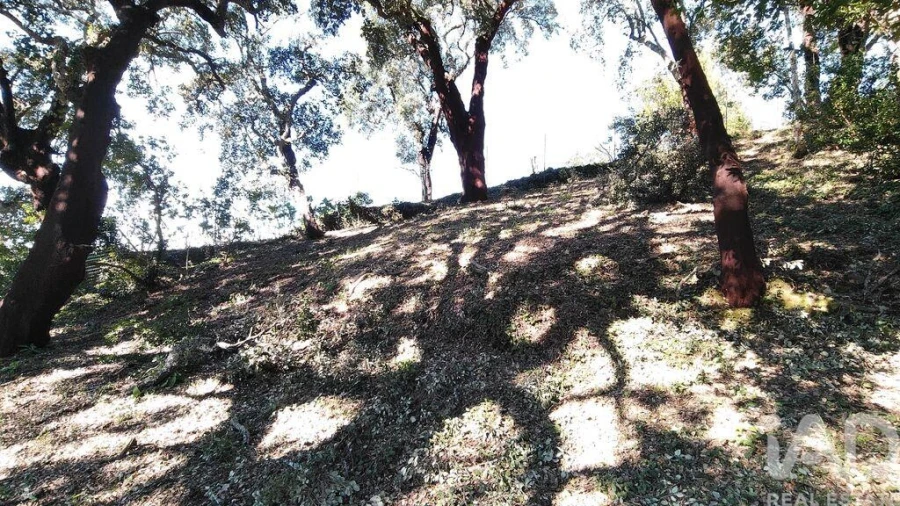 Terreno para Venda em Pedrogão Pequeno Foto 27