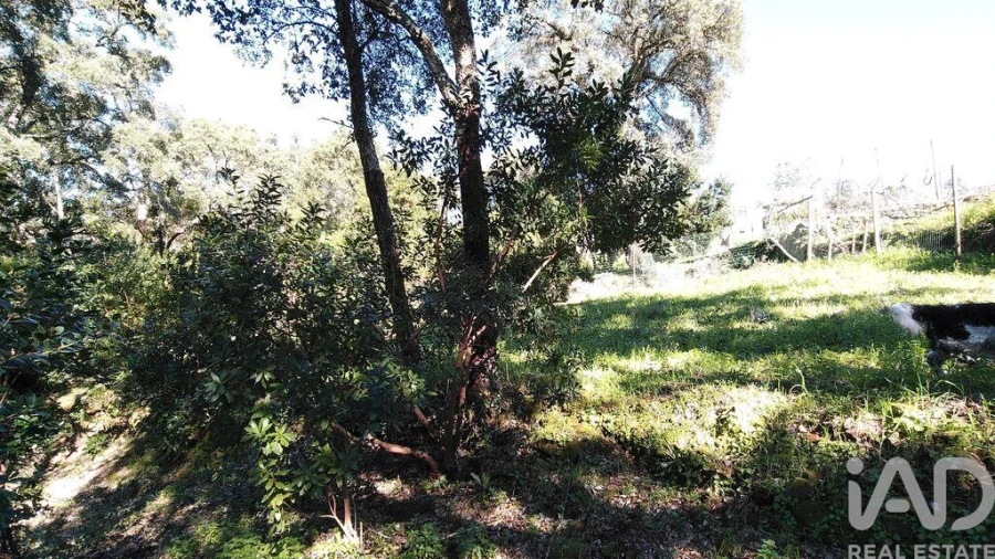 Terreno para Venda em Pedrogão Pequeno Foto 30