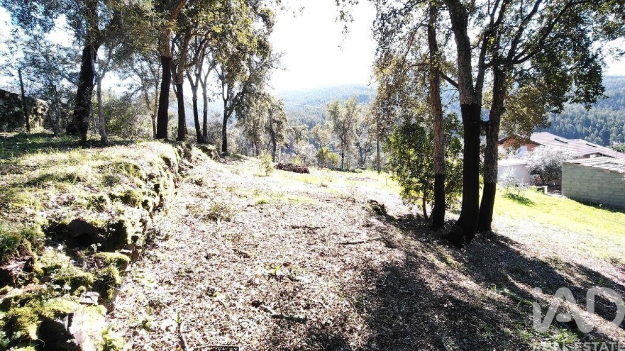 Terreno para Venda em Pedrogão Pequeno Foto 15