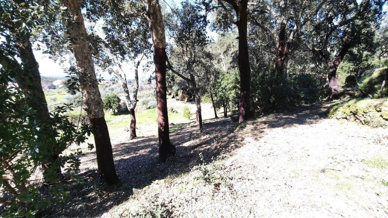 Terreno para Venda em Pedrogão Pequeno Foto 11