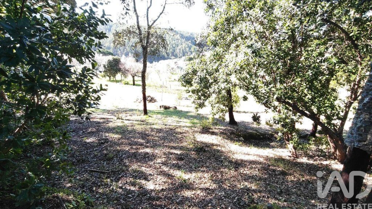 Terreno para Venda em Pedrogão Pequeno Foto 16