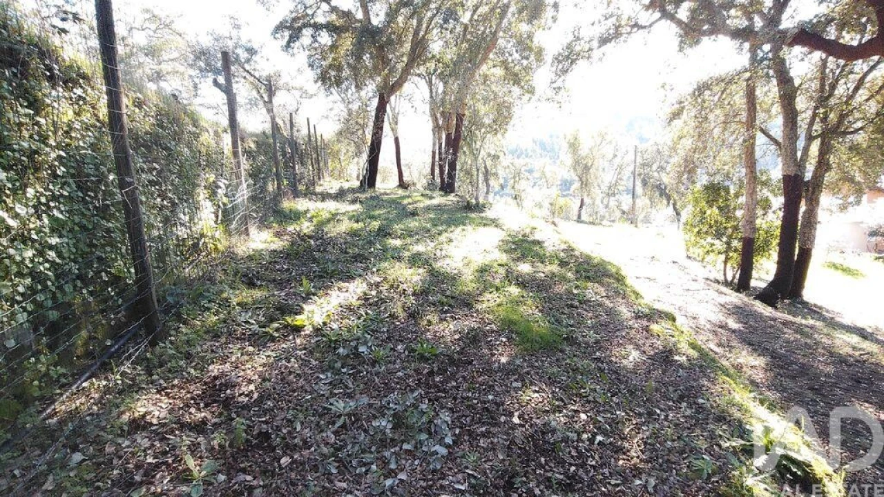 Terreno para Venda em Pedrogão Pequeno Foto 14
