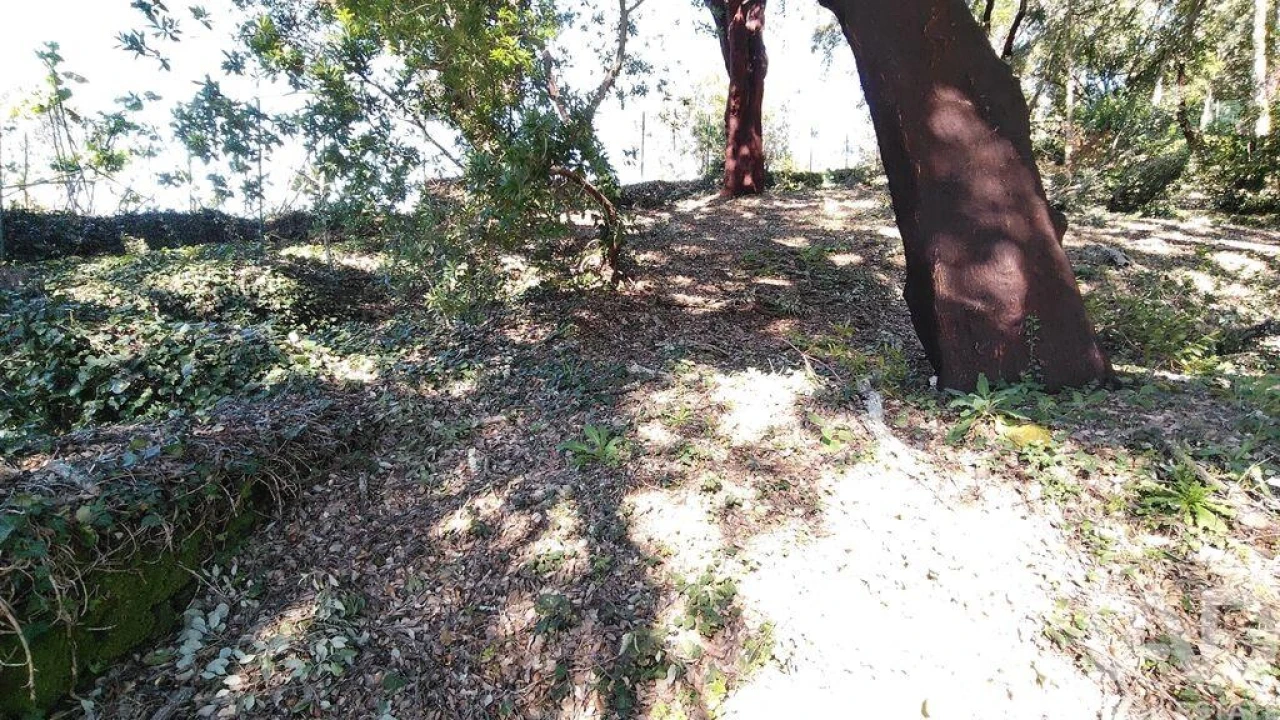 Terreno para Venda em Pedrogão Pequeno Foto 9