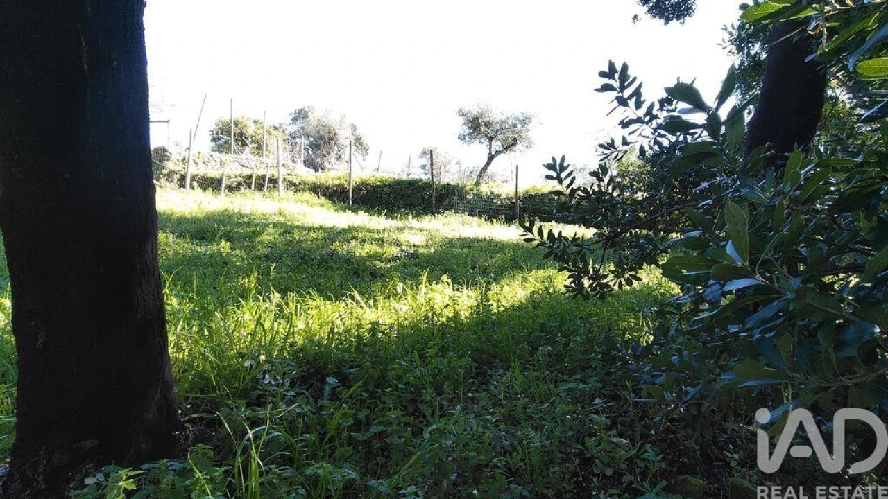 Terreno para Venda em Pedrogão Pequeno Foto 29